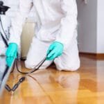 شركة مكافحة حشرات بجدة