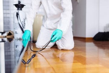 أفضل خدمات مكافحة الحشرات في الدمام لحياة خالية من الآفات!