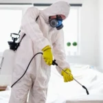 شركة مكافحة حشرات بالدمام