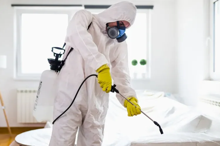 أهمية خدمات مكافحة الحشرات الاحترافية في الحفاظ على صحة الأسرة في الطائف