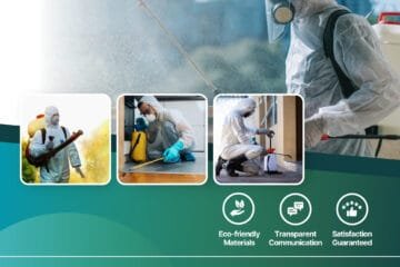 كيف تتخلص من الحشرات نهائيًا؟ دليل شامل من شركة مكافحة الحشرات في الدمام