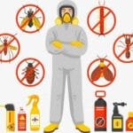 شركة مكافحة حشرات بالدمام