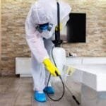 مكافحة البق