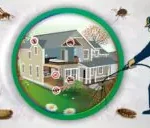 شركة مكافحة حشرات بالطائف