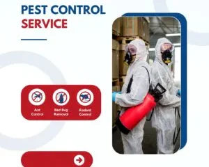 تأكد من سلامة عائلتك باختيار خدمات تكافح الحشرات الموثوقة في مكة