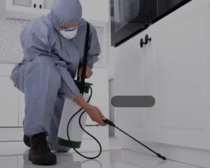 استفد من خبرة فريق شركة مكافحة الحشرات الرائدة في الدمام