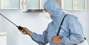 أساليب مبتكرة وفعالة لمكافحة الحشرات في المنازل بمساعدة شركة في الطائف